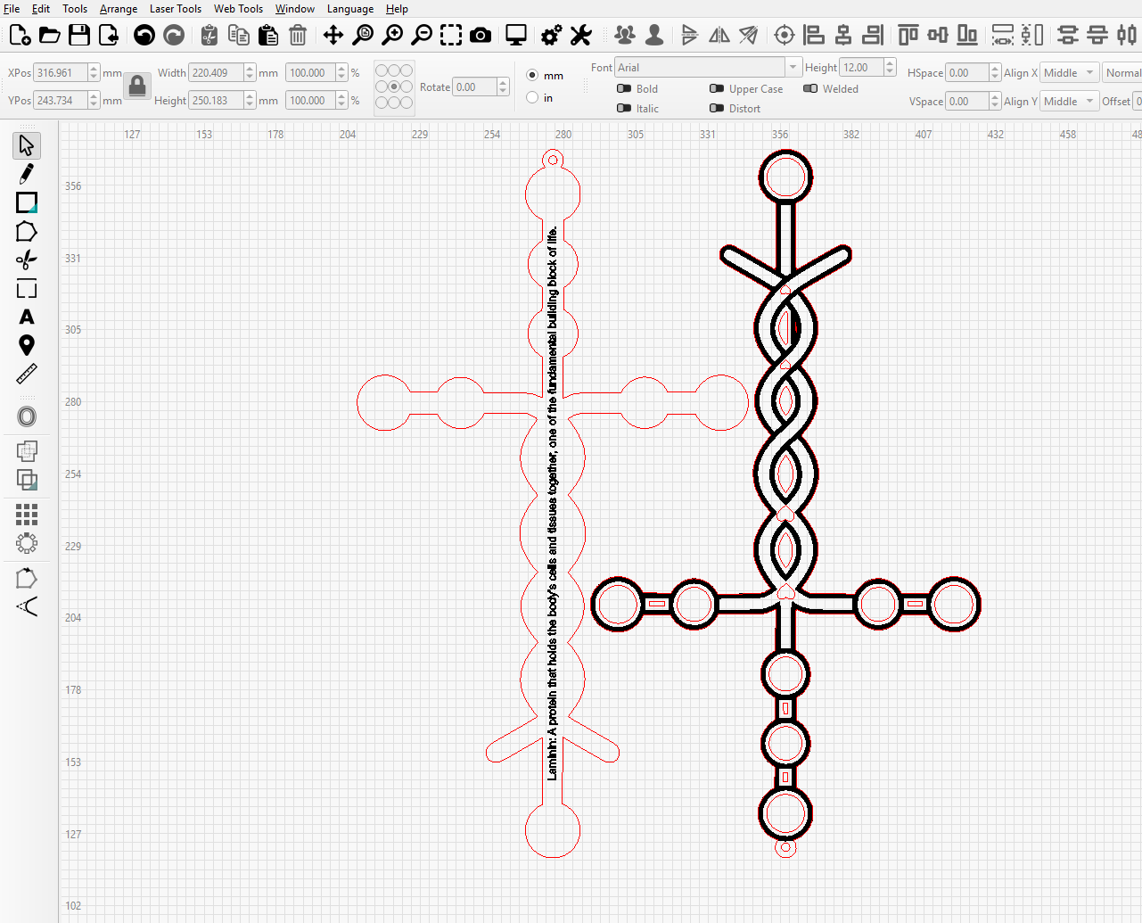 The Laminin Cross - Image 2